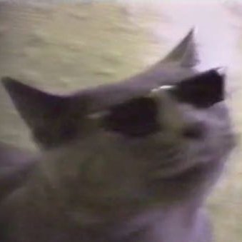 Janusz2k1's profile picture. Członek Uniwersum Polskiej Piłki