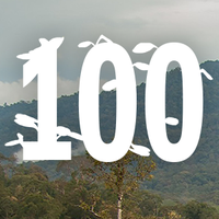 100 Plant Science Questions (@plantquestions) 's Twitter Profile Photo 100 Plant Science Questions (@plantquestions) 's Twitter Profile Photo