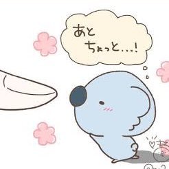 Xg10N's profile picture. 22卒文系の女/就活の軸は「実家から通える会社であること」と「福利厚生」