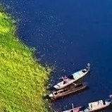 FEILO95040118's profile picture. paly ball♦️Reddio