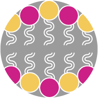 Lipidomics@Babraham (@lipidomicsbabr) 's Twitter Profile