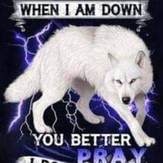 FHyzims's profile picture. I like to have fun