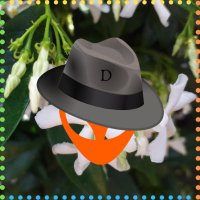 Dackyshdo(@Dackyshdo) 's Twitter Profile Photo