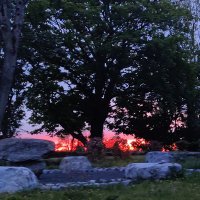 Jacqueline Daly (@jacqdalyegm) 's Twitter Profile