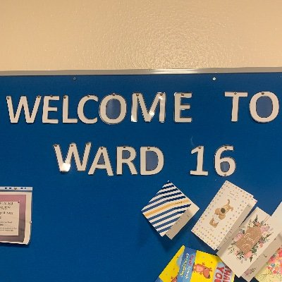 Walsall Manor Ward 16 Profile