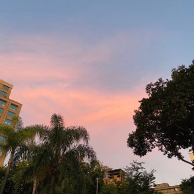 vitoriadont's profile picture. i'll let you free