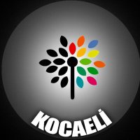 Kocaeli KHK'lılar Platformu(@Kocaeli_KHK) 's Twitter Profile Photo