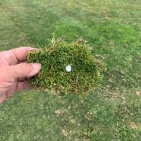 Dan Zimring (@danzimgolf) 's Twitter Profile