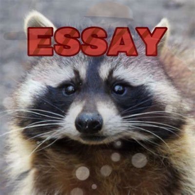 Offer help in writing essays, Online classes,term/research/ thesis papers, dissertations and book reviews among others. Affiliated with myself.