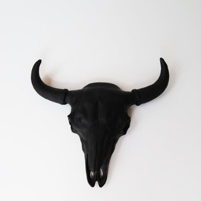 Trading_joe1's profile picture. Stocks | Cyropto | Swing | Scalp | Not financial advice | I will post every single setup I trade, then the results on the same threads