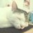 otoramのアイコン