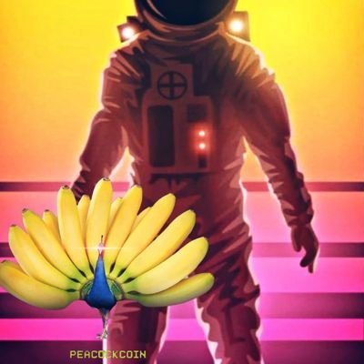 information about token progress, potentially.
#pokiinvestor