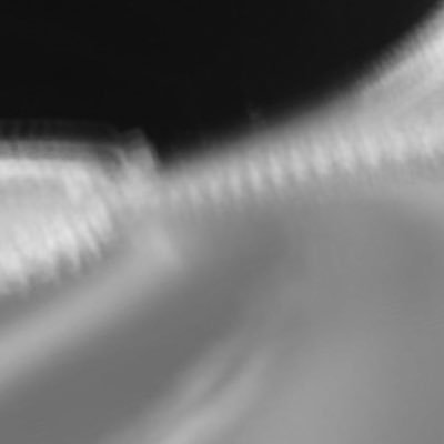 elkohirsch's profile picture. 