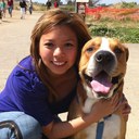 Vinci Chen - @vincii12 - Twitter