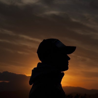 pawel Profile
