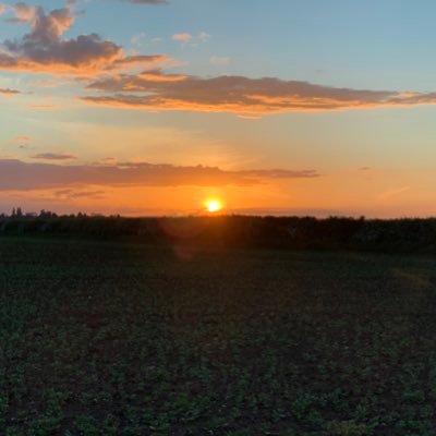 DaveEary's profile picture. Travelling, Exploring, 4x4’s, Drums, Drones, Clays and Bass Guitars (among other things)