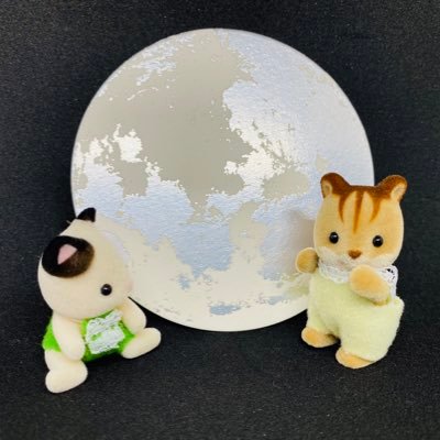 みとちよさんのプロフィール画像