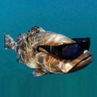 Fishguy6564 (@fishguy6564) 's Twitter Profile Photo Fishguy6564 (@fishguy6564) 's Twitter Profile Photo