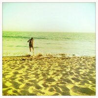 Sandy (@zoosander) 's Twitter Profile