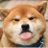 MarHL99's profile image