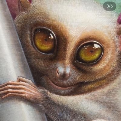 thiagof77465026's profile picture. 