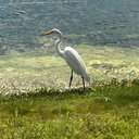 Debbie Bartlett - @DebbieBartlet19 - Twitter