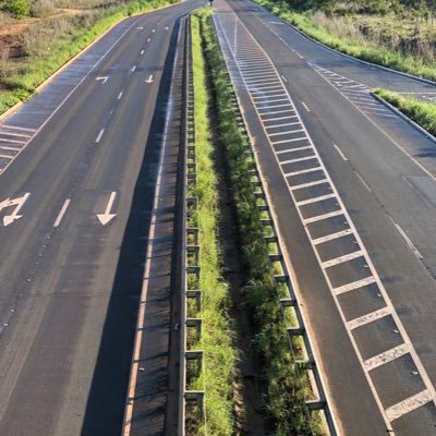 Alexandrecrr's profile picture. 