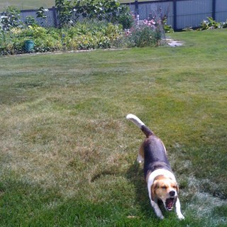 justintang376's profile picture. 