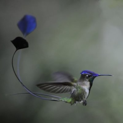 greenbirdienyc's profile picture. Sing Sing