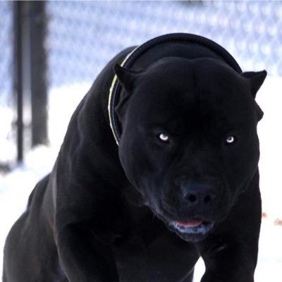 julio33795500's profile picture. ☠️💀☠️💀☠️💀