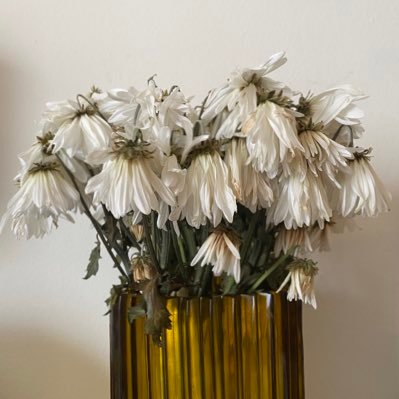 sunriseclubLA's profile picture. welcome to the sunrise club