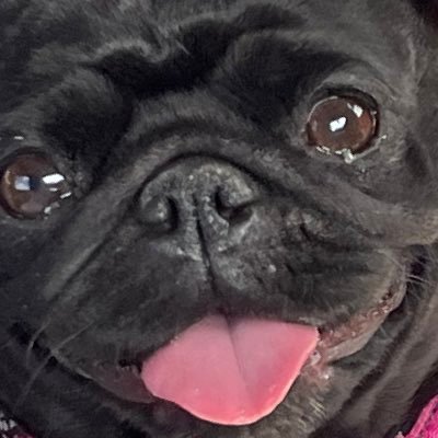 Griffin28020739's profile picture. Have a good day and spread kindness🥰🥰