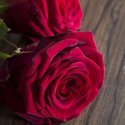 ماجستير مناهج وطرق تدريس تخصص تربية إسلامية / مشرفة تربوية بمكتب تعليم الوسط ( حساب شخصي )