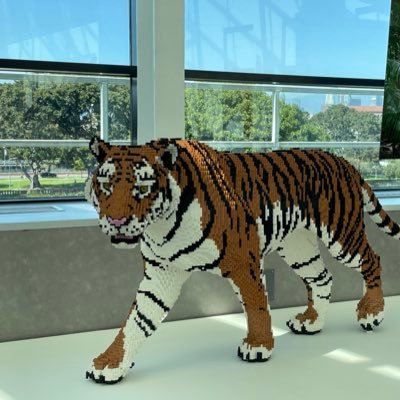 TXNMTNCA's profile picture. 