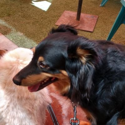 BrubachRob's profile picture. 