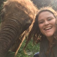 Laura Chaffin (@laurachaffin10) 's Twitter Profile