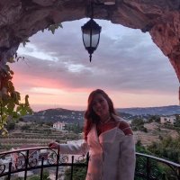 Diana Aoun (@dchihane) 's Twitter Profile