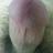sexsindong's profile image