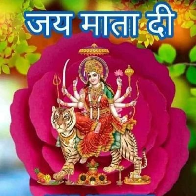 PolytechnicE's profile picture. 