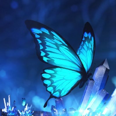 iput4期生IT-B ゲーム好き:valo lol 原神apex ow2 スプラやってます! よく聞く音楽:ずとまよ マカロニえんぴつ vtuberたくさん好き:にじさんじ ホロライブ ぶいすぽ アニメ好き