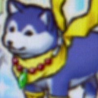 てと (@da6q_d) 's Twitter Profile Photo