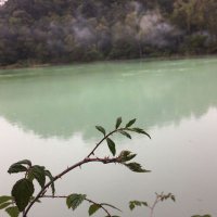 Locoxx (@loocoxx) 's Twitter Profile