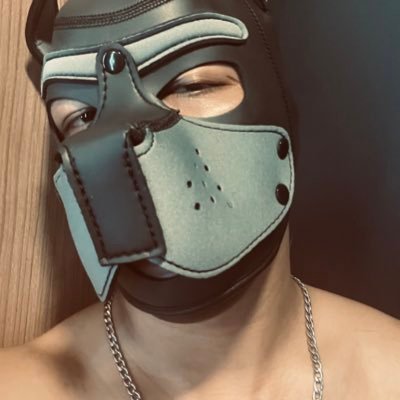 W_Tunyu's profile picture. 🐶 เจ้าหมาที่อยากเป็นหมี 🐻 | 🇹🇭 BKK-TH | Bear, Chubby | 🔄 VERS | Single,Group | No drugs