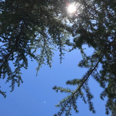 GuenVero's profile picture. « Les cons ça osent tout, c’est même à ça qu’on les r’connait » Mr M. Audiard