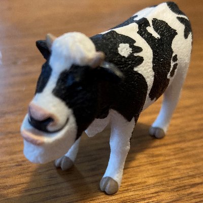 kiyo88485515's profile picture. 