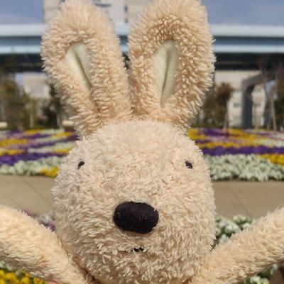 ルシュクル🐰Le Sucre TV【ぬいぐるみYouTuber】 (@lesucrepito) / X