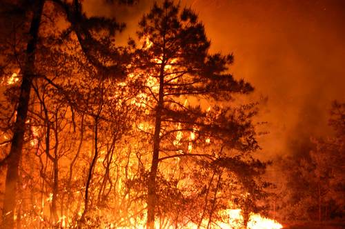 zapimpulse's profile picture. 