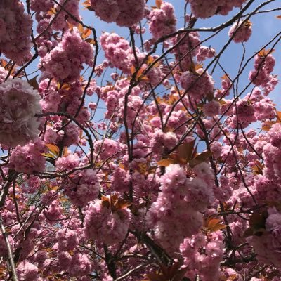 strangenewwor's profile picture. 