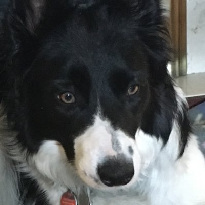 Rebecca12842784's profile picture. 