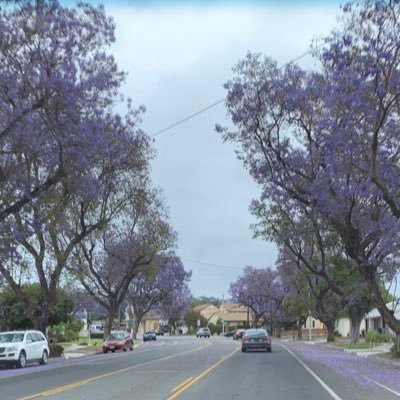 24Lifeisgood's profile picture. Cali